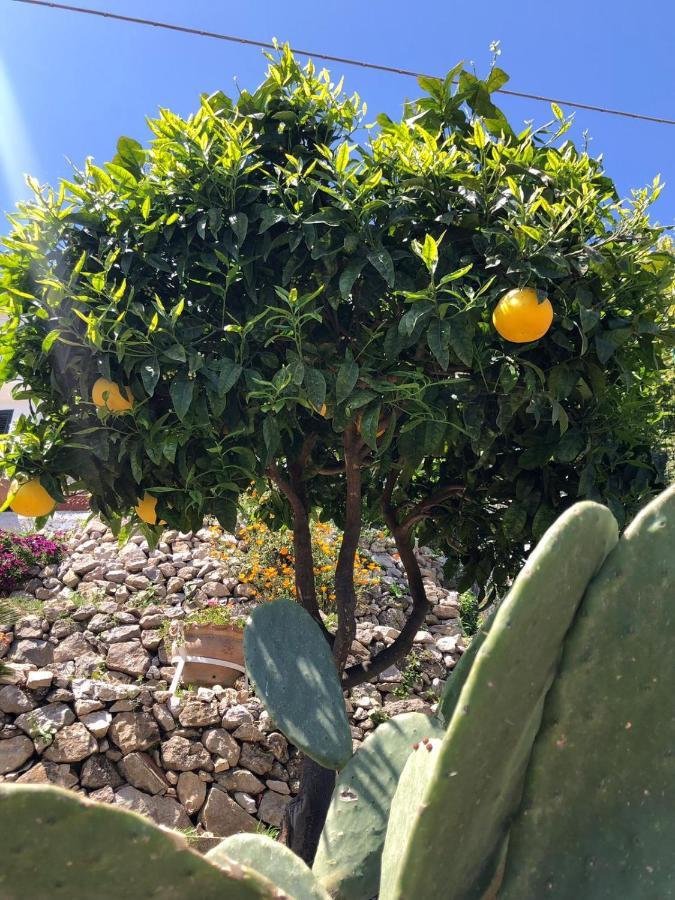 U Castiddanu Lejlighed Taormina Eksteriør billede